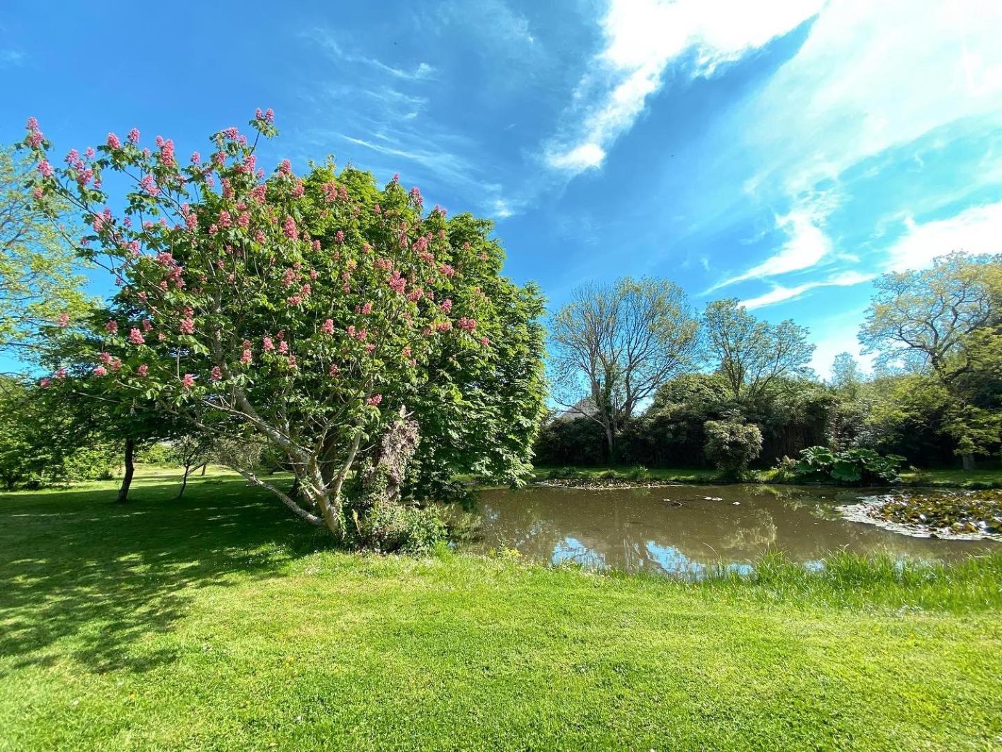 Chambres D'Hotes & Gites - Domaine Les Sources Portbail Luaran gambar