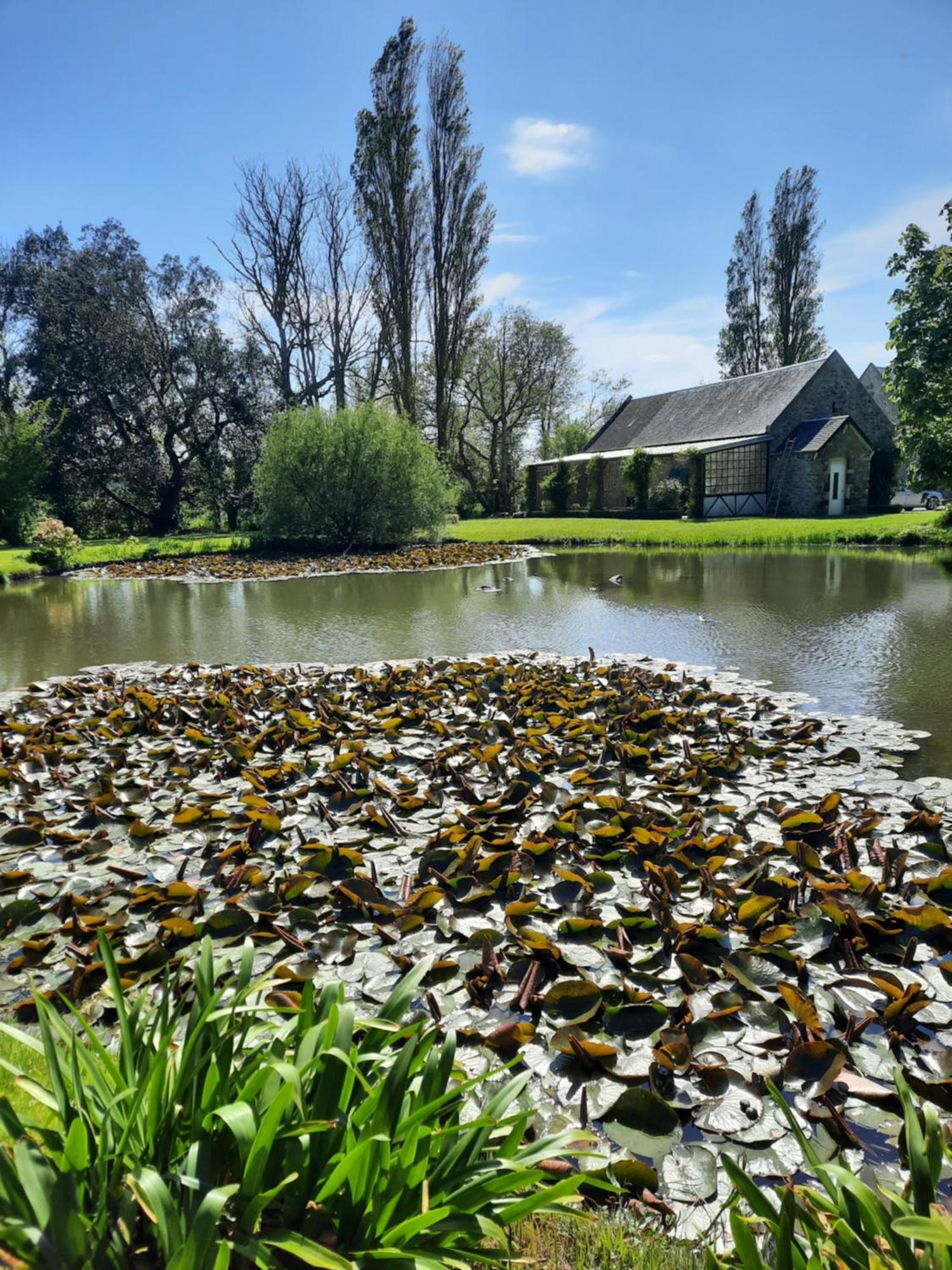 Chambres D'Hotes & Gites - Domaine Les Sources Portbail Luaran gambar