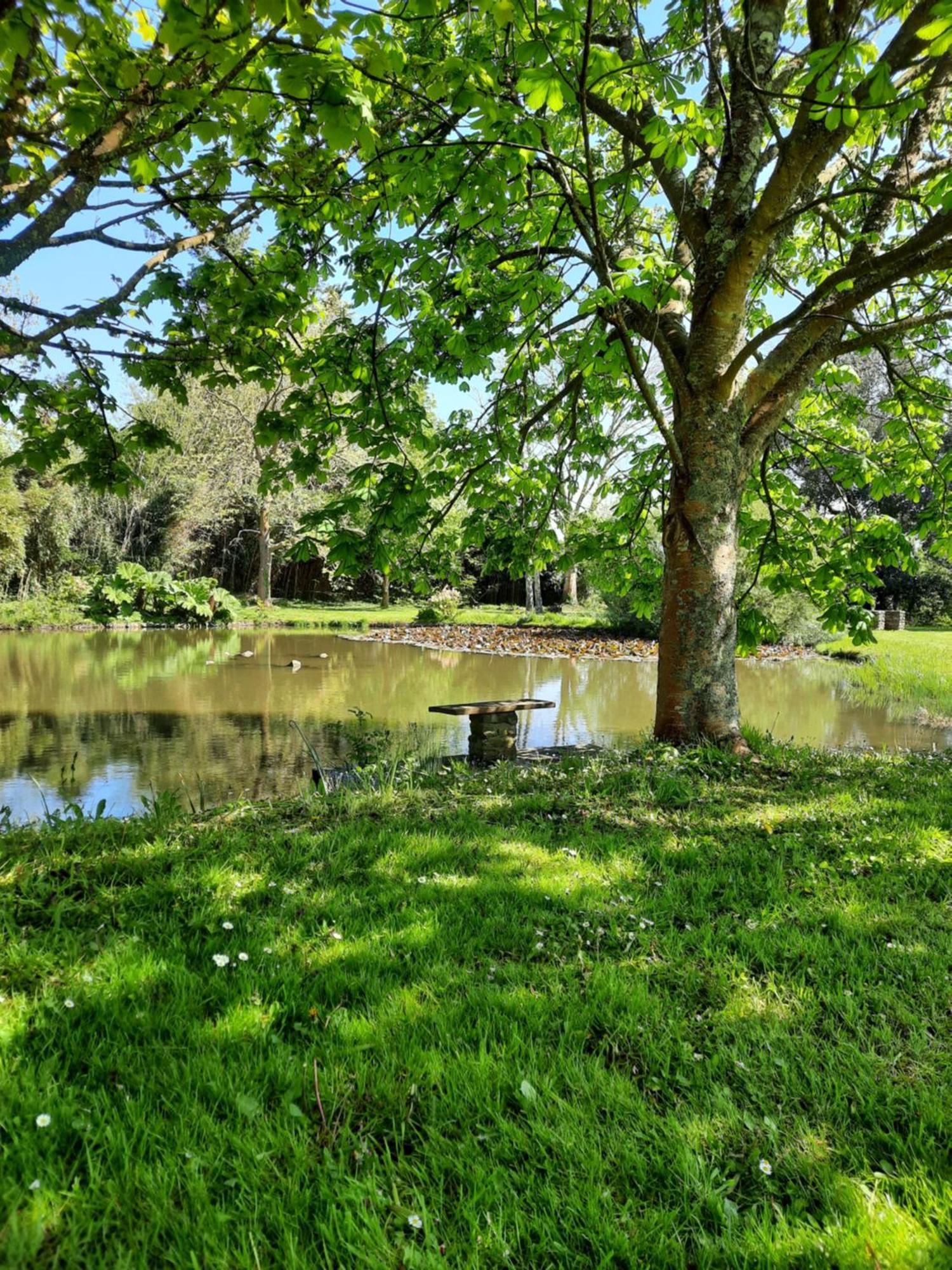 Chambres D'Hotes & Gites - Domaine Les Sources Portbail Luaran gambar